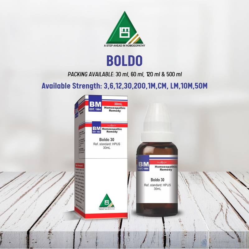 BOLDO - Image 2