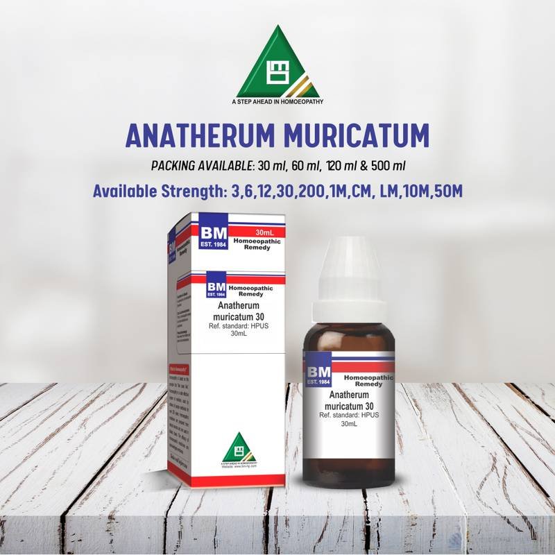 ANATHERUM MURICATUM