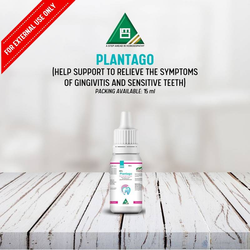 Plantago Dental (Lotion) - Image 4