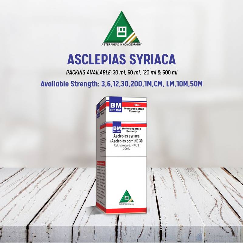 ASCLEPIAS SYRIACA - Image 3
