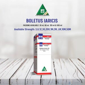 BOLETUS LARICIS