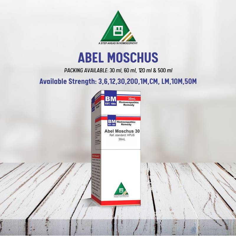 ABEL MOSCHUS - Image 3