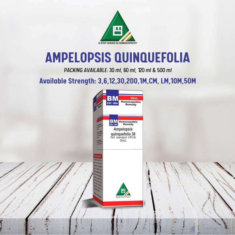 AMPELOPSIS QUINQUEFOLIA - Image 3