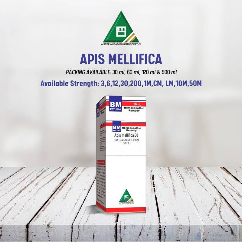 APIS MELLIFICA - Image 3