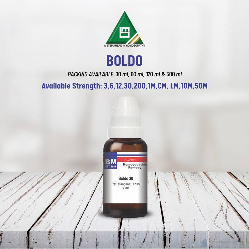 BOLDO - Image 3