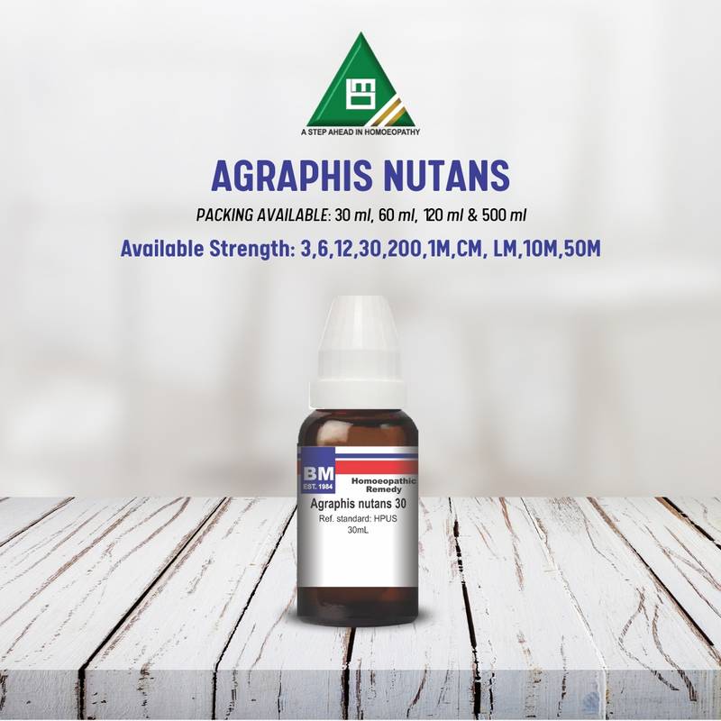 AGRAPHIS NUTANS - Image 2