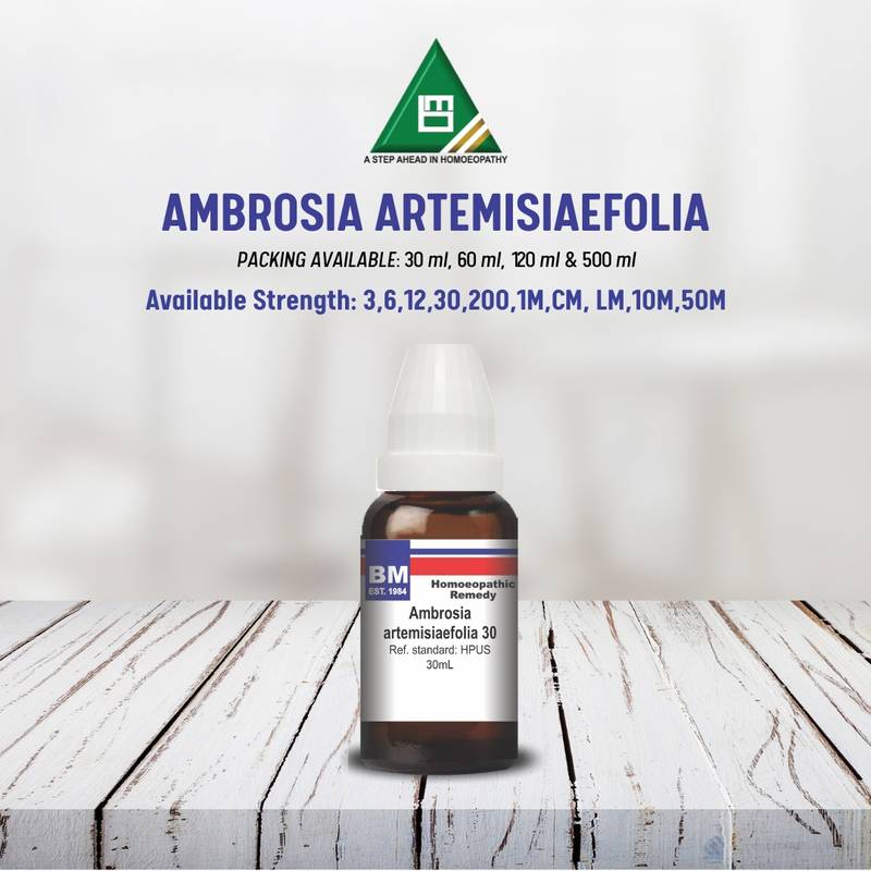 AMBROSIA ARTEMISIAEFOLIA - Image 3