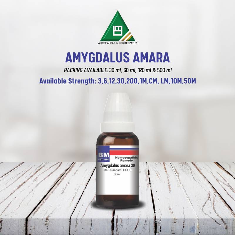 AMYGDALUS AMARA - Image 2