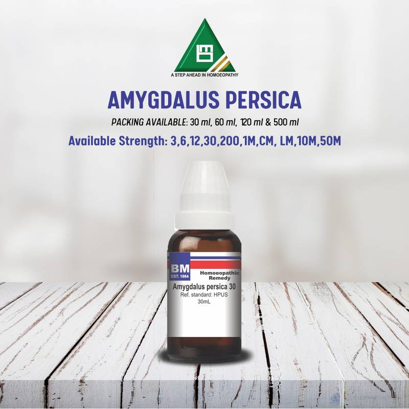 AMYGDALUS PERSICA - Image 3