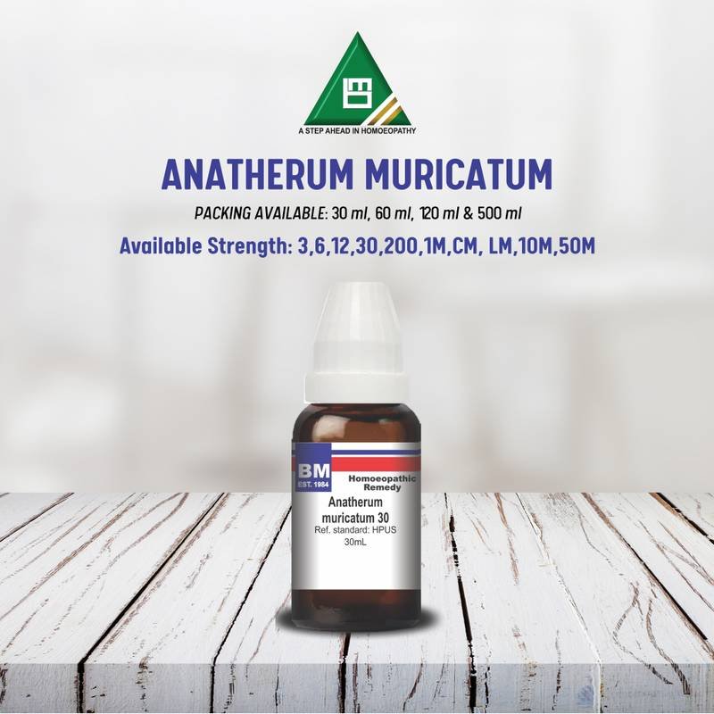 ANATHERUM MURICATUM - Image 2