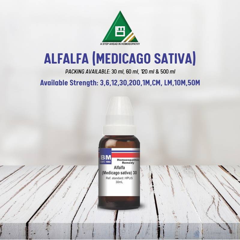 ALFALFA (MEDICAGO SATIVA) - Image 3