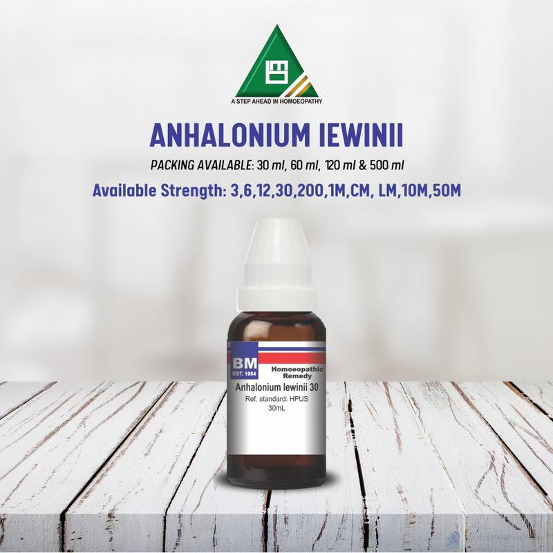 ANHALONIUM LEWINII - Image 2