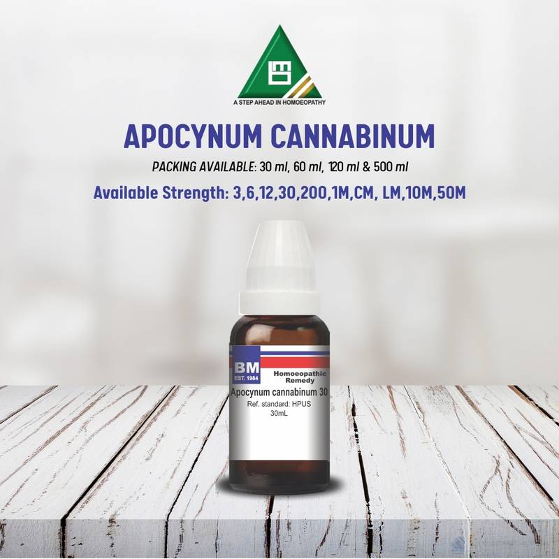 APOCYNUM CANNABINUM - Image 2