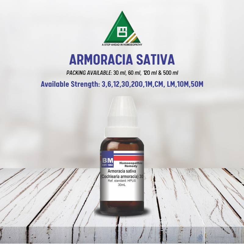 ARMORACIA SATIVA - Image 2