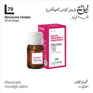 L-79 Ranunculus