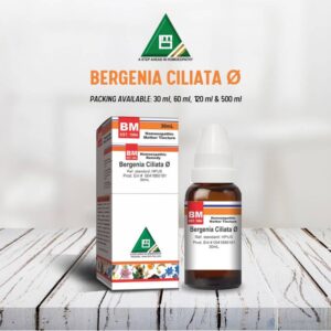 Bergenia Ciliata