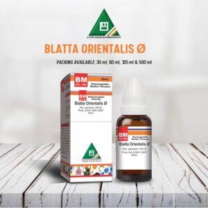 Blatta Orientalis