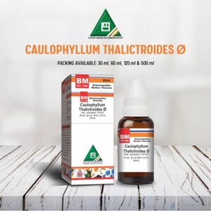 Caulophyllum Thalictroides