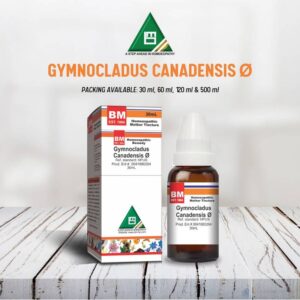 GYMNOCLADUS CANADENSIS