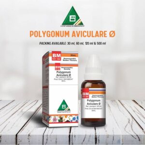 POLYGONUM AVICULARE