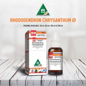 RHODODENDRON CHRYSANTHUM