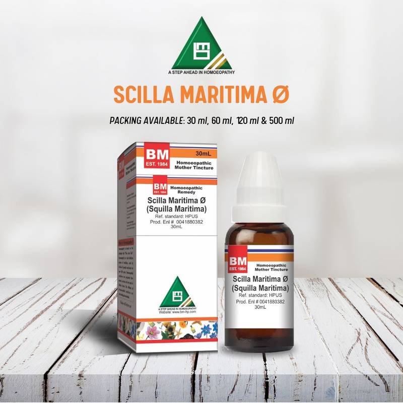 SCILLA MARITIMA