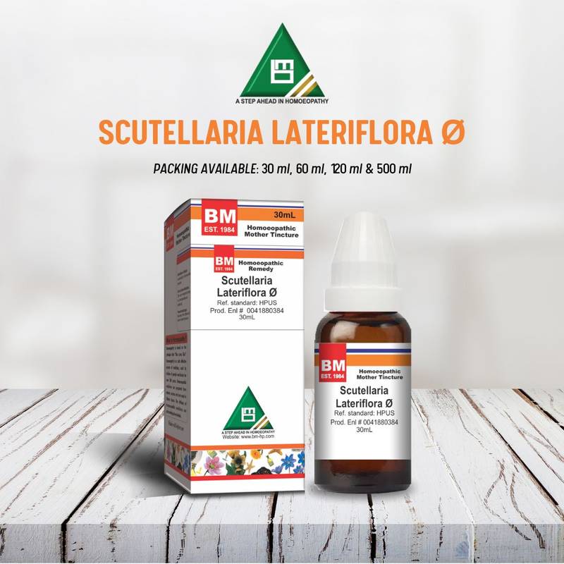 SCUTELLARIA LATERIFLORA