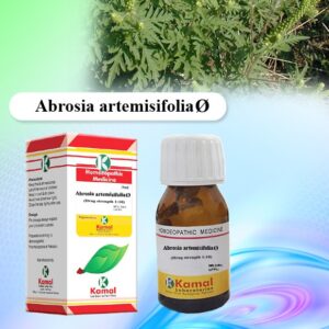 AMBROSIA ARTHEMISIAEFOLIA