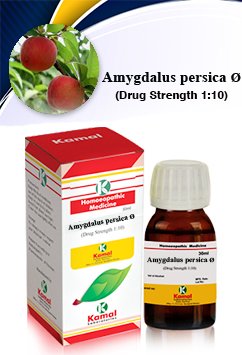 AMYGDALUS PERSICA