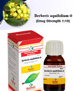 BERBERIS AQUIF