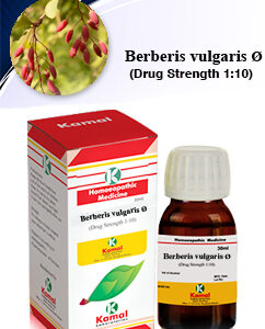 BERBERIS VULG