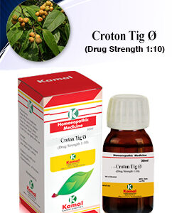 CROTON TIG