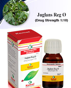 JUGLANS REG