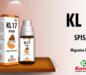KL 17 (SPISAN)