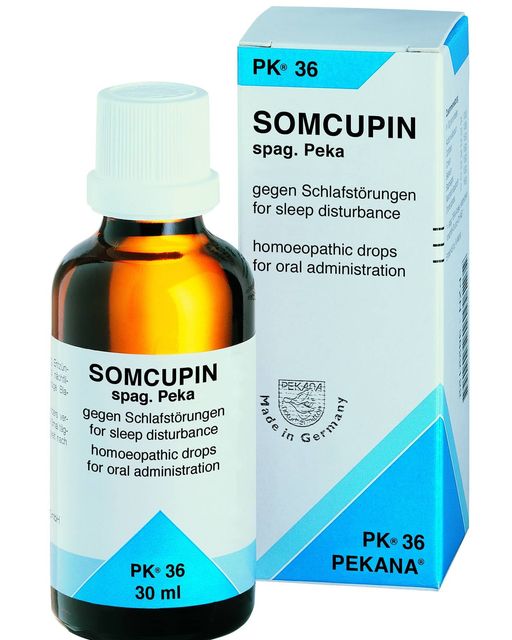 PK 36 SOMCUPIN