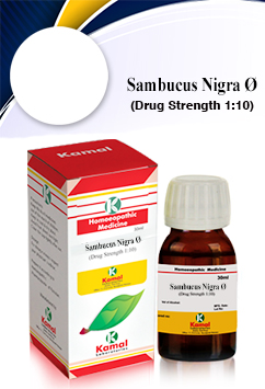 SAMBUCUS NIGRA