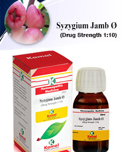 SYZYGIUM JAM