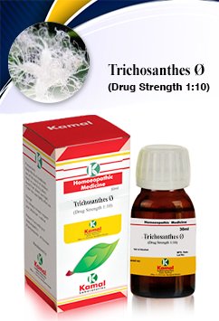 TRICHOSANTHES